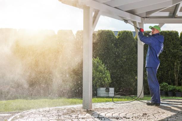 Best House Exterior Washing  in Lake Magdalene, FL